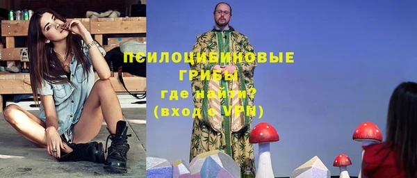 молекула духа Кулебаки