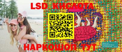 мдпв Бийск