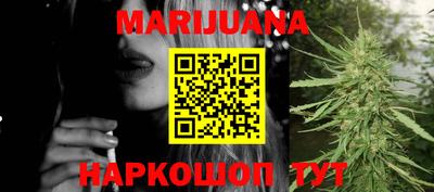 мдпв Бийск
