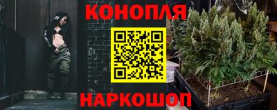 мдпв Бийск