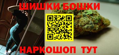 мдпв Бийск