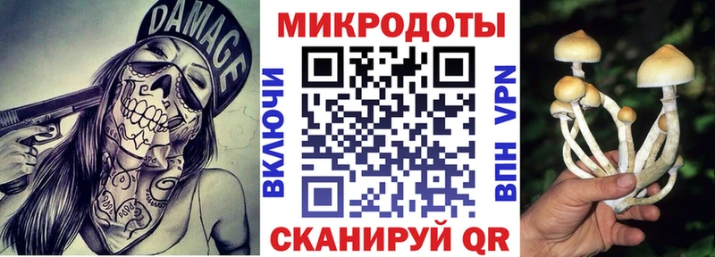 хочу   Мытищи  Псилоцибиновые грибы Psilocybe 