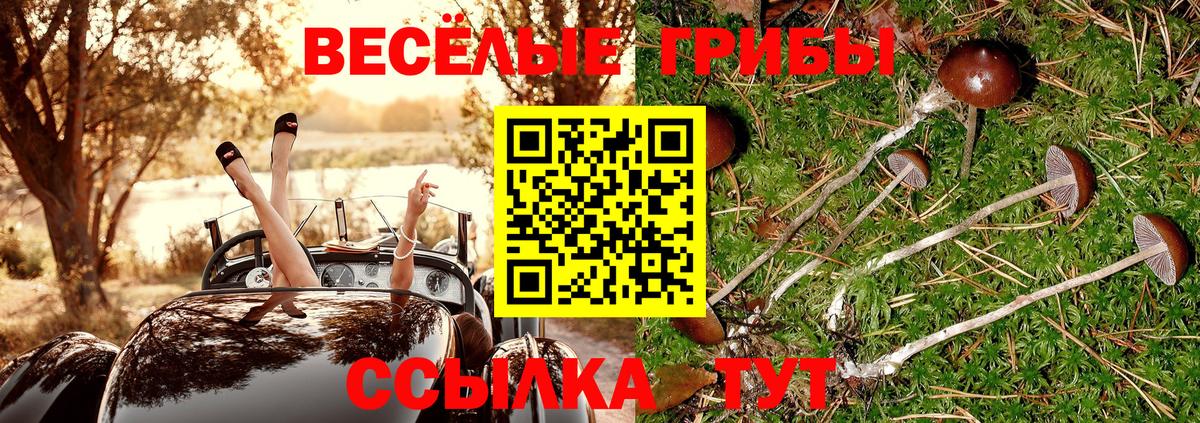 Галлюциногенные грибы прущие грибы Мытищи