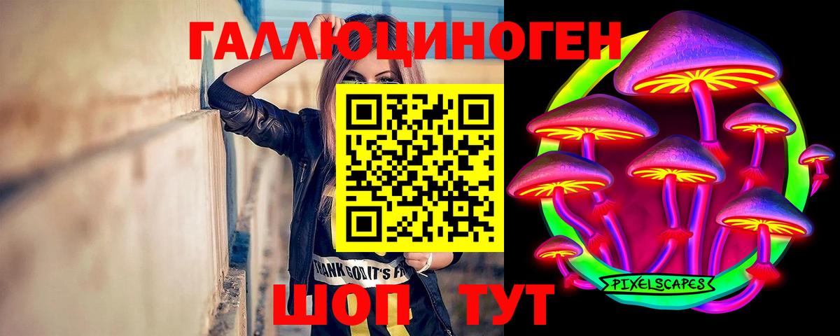 Мытищи  Галлюциногенные грибы прущие грибы  Вход с VPN  Галлюциногенные грибы мицелий 