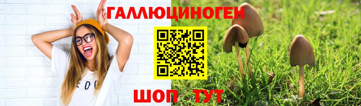 Галлюциногенные грибы мицелий  Мытищи 